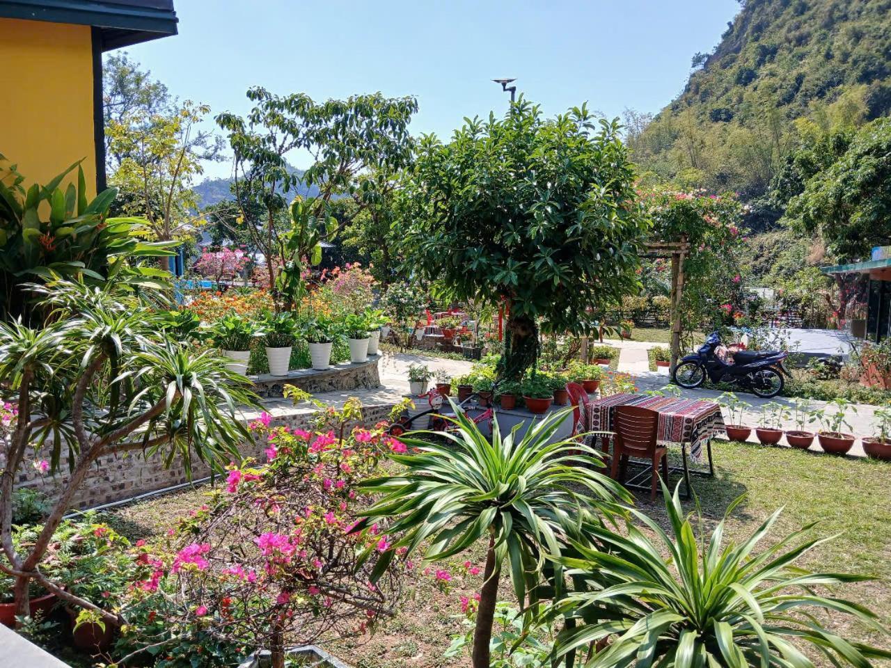 Catba Papillon Garden Bungalows & Resort Hien Hao Экстерьер фото