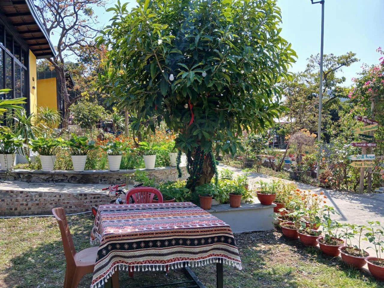 Catba Papillon Garden Bungalows & Resort Hien Hao Экстерьер фото