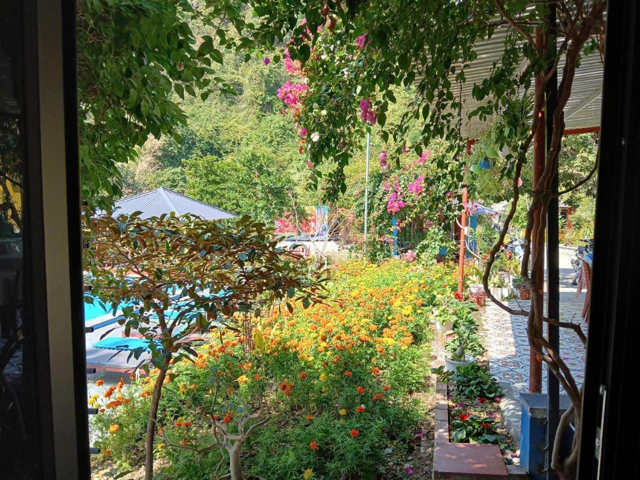 Catba Papillon Garden Bungalows & Resort Hien Hao Экстерьер фото