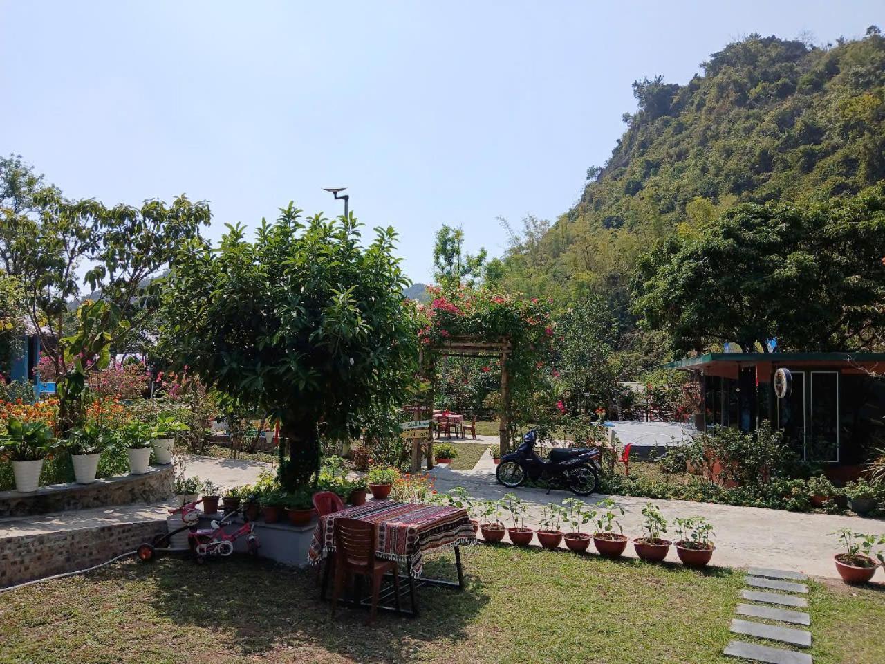 Catba Papillon Garden Bungalows & Resort Hien Hao Экстерьер фото